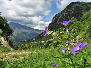 92 Scendendo dai Piani di Bobbio il verde valloncello con vista in Tre Signori